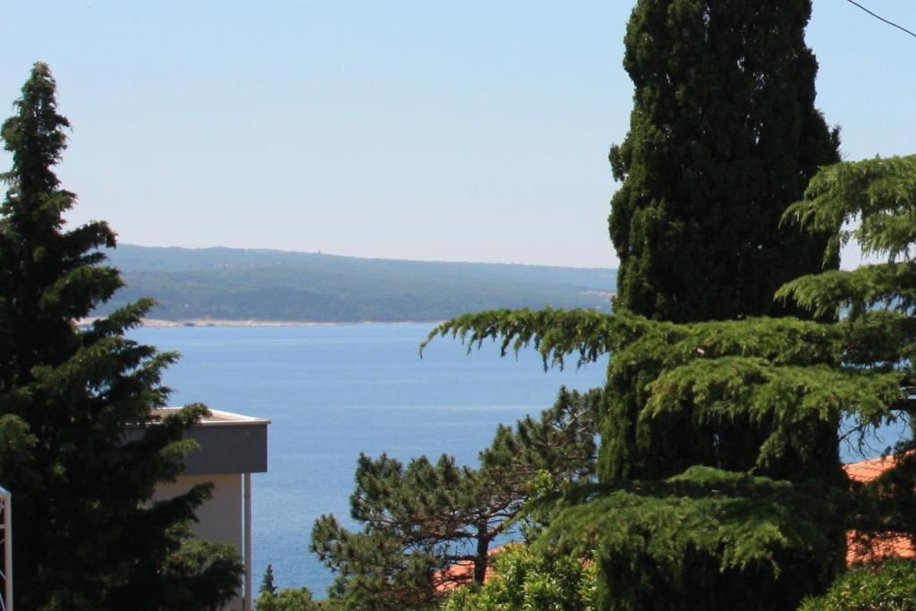 Príroda v okolí apartmánu