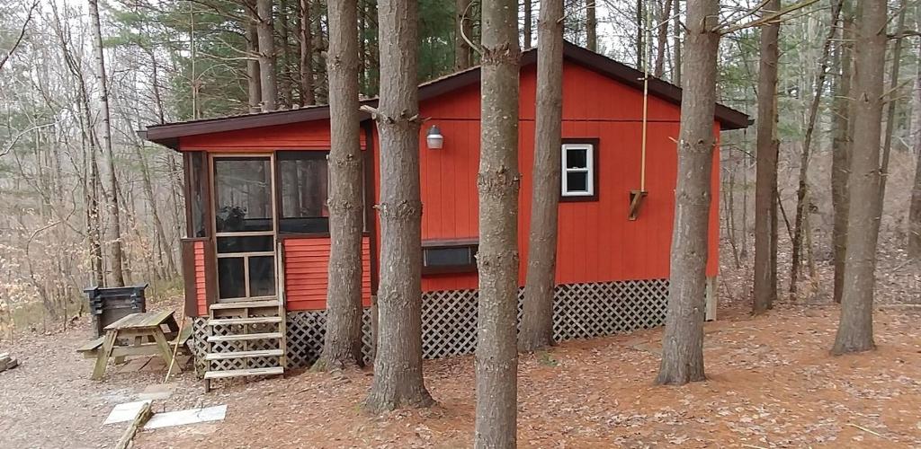 Avenwood Cabins - One-Bedroom House
