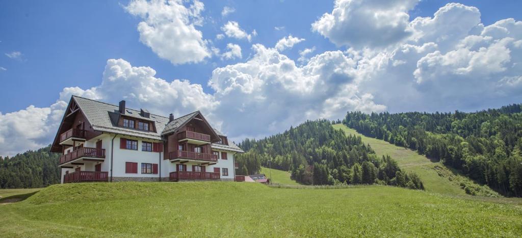 ein großes Haus auf einem Grashügel in der Unterkunft Apartmajsko naselje Ribniško Pohorje in Ribnica na Pohorju