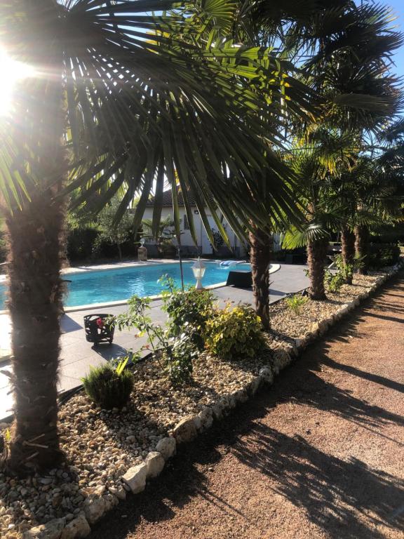 a row of palm trees and a swimming pool at Villa Bergerac avec Piscine in Bergerac