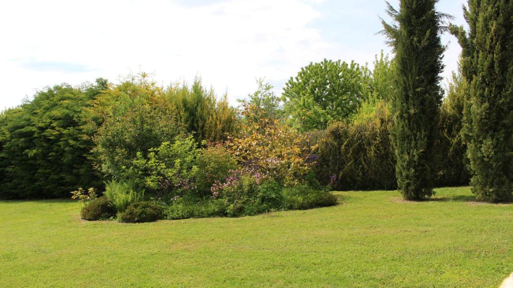 a field with trees and bushes in a park at Gîte de la Pierre percée in Roôcourt-la-Côte