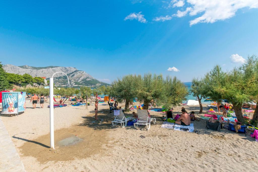 Príroda v okolí apartmánu