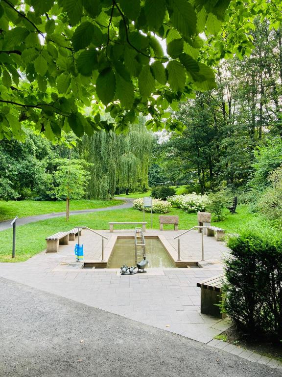 Zahrada ubytování Hotel im Park