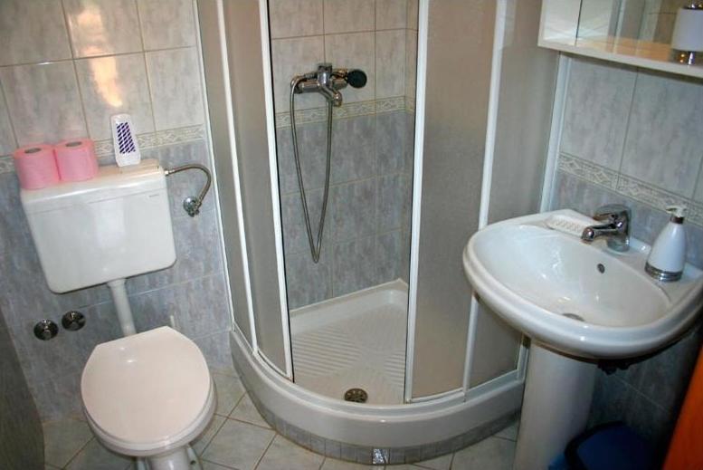 Koupelna v ubytování Villa Planjka (133)