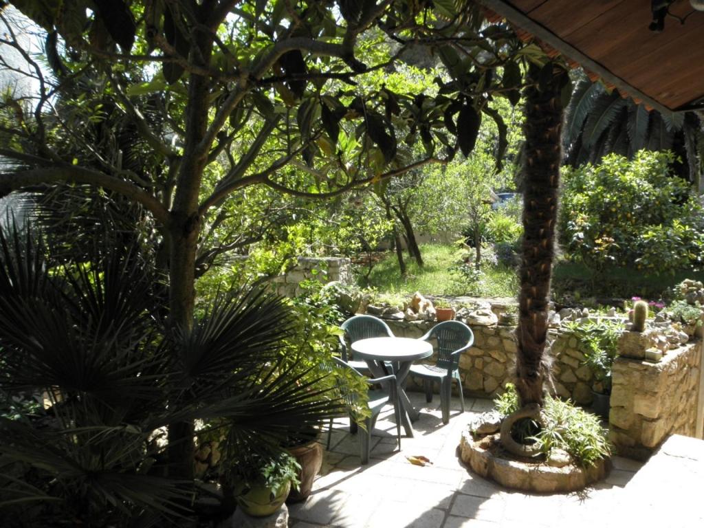 Zahrada ubytování Apartments VESNA (63)