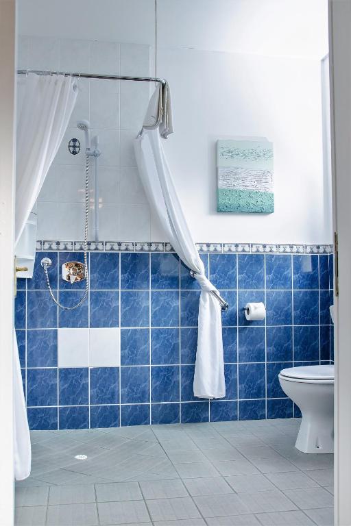 e bagno piastrellato blu con doccia e servizi igienici. di Killaran House a Killarney