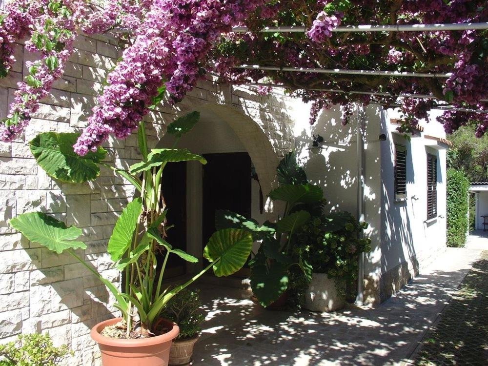 Vonkajšia záhrada v ubytovaní Guesthouse Losinj (4241)