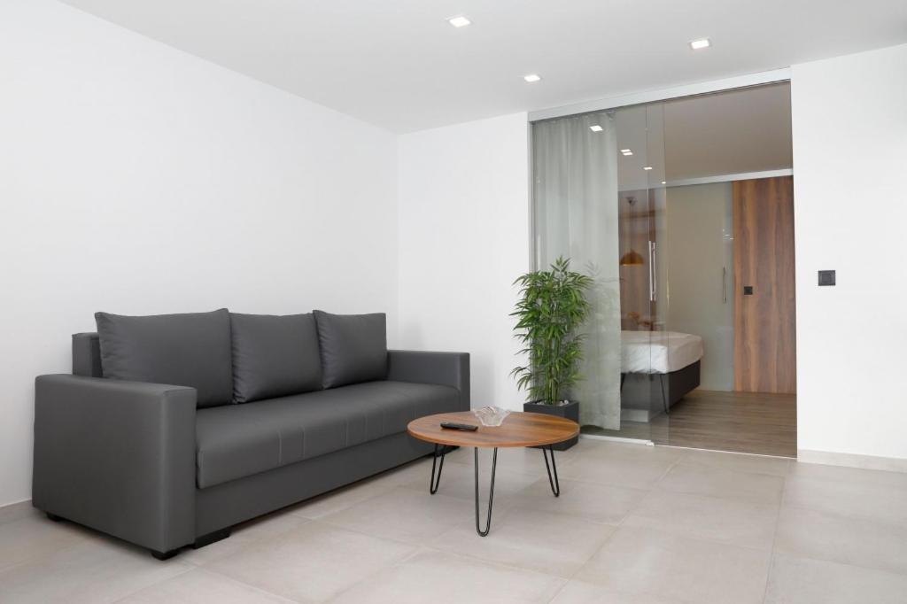 Posezení v ubytování Apartment in Brela with sea view, balcony, air conditioning, Wi-Fi (3524-7)