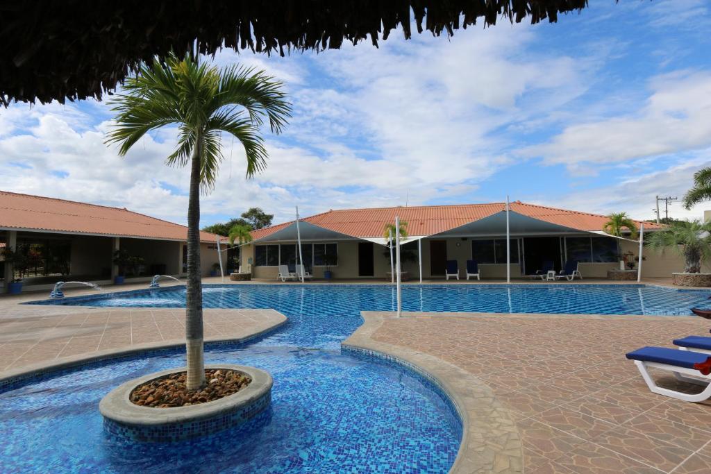 a palm tree sitting next to a swimming pool at Punta Chame Club and Resort in Chame