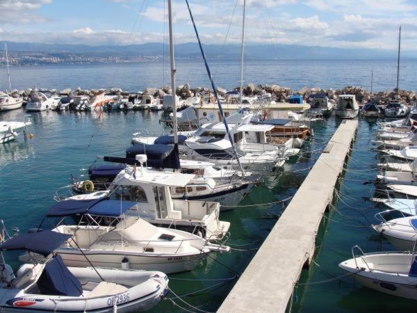 Príroda v okolí apartmánu