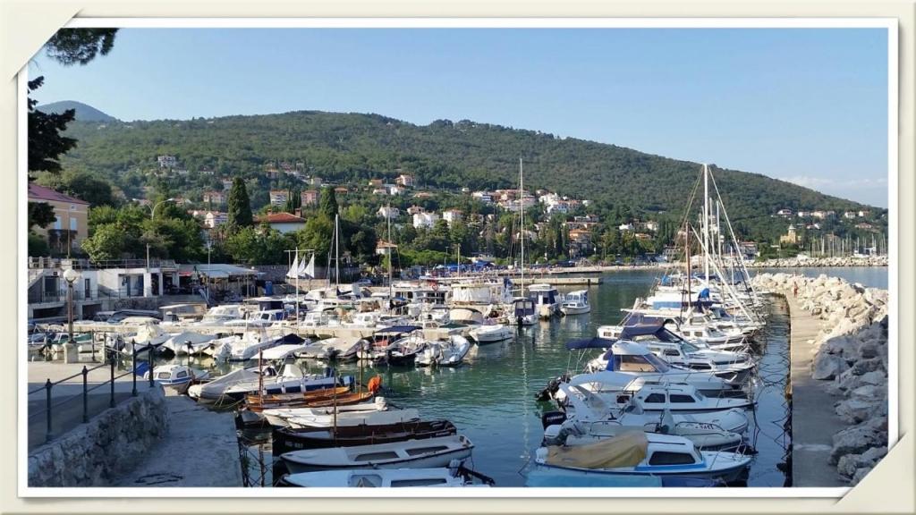 Príroda v okolí apartmánu