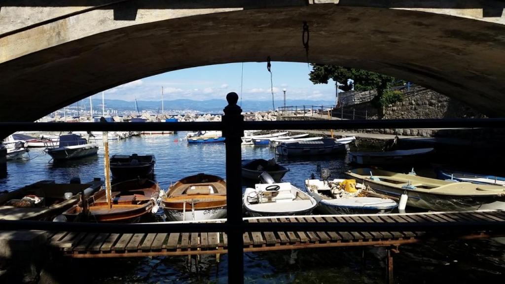 Príroda v okolí apartmánu