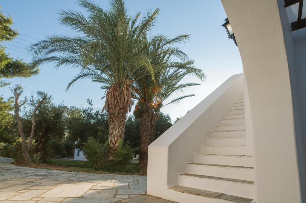 Far Out Village Hotel - 14