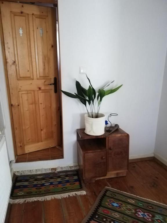 Fotografie z fotogalerie ubytování Guest House Vodolei v destinaci Kotel