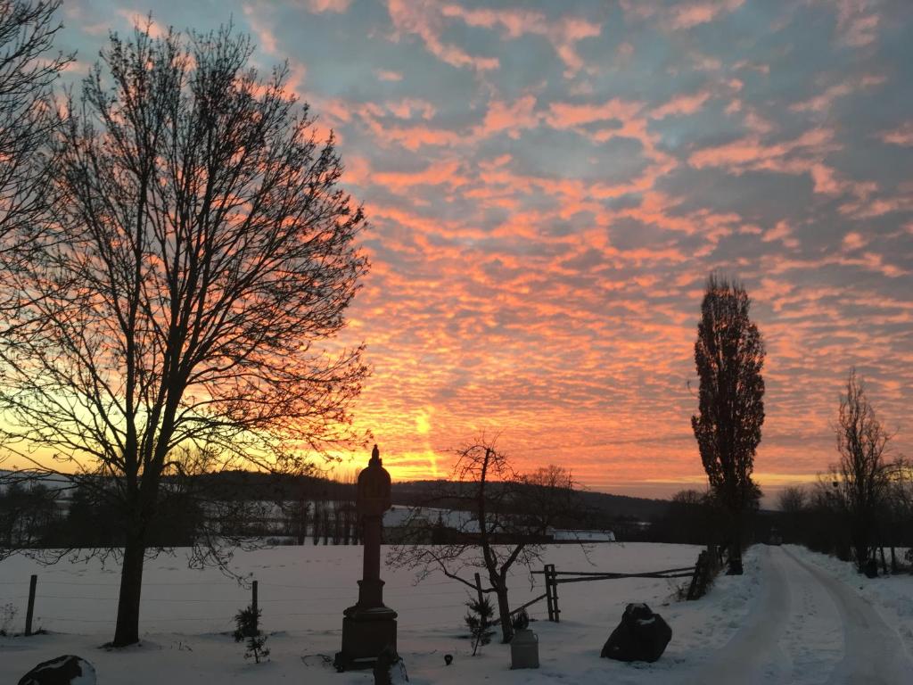 LindenGut Bio Hotel & Bio Herberge - Double Room With Garden View