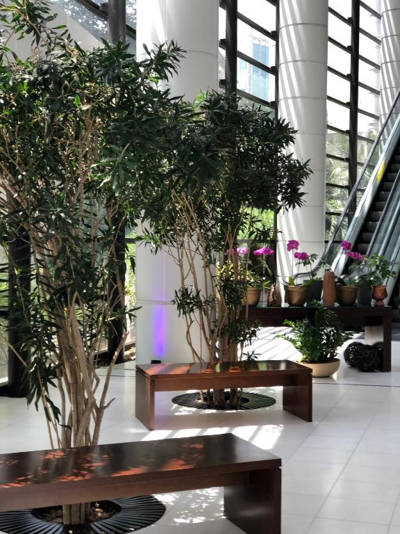 Mercure Sao Paulo Grand Plaza Paulista