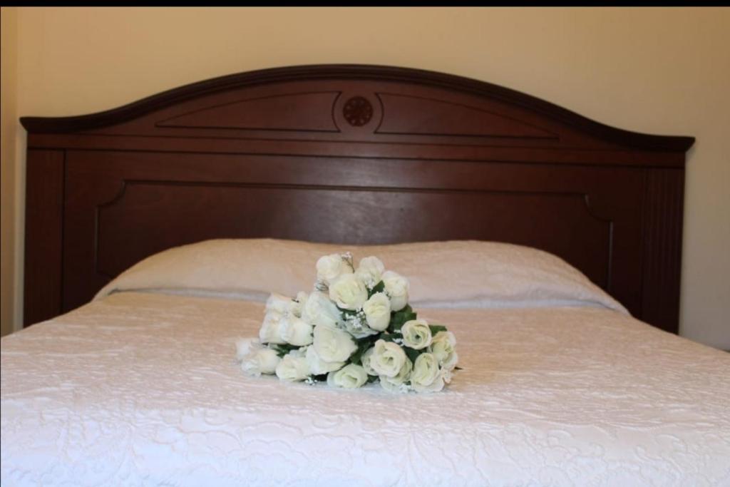 Postel nebo postele na pokoji v ubytování Hotel San Diego