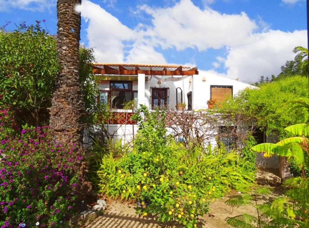 アルテアにあるCasa Caracolの花とヤシの木に囲まれた家
