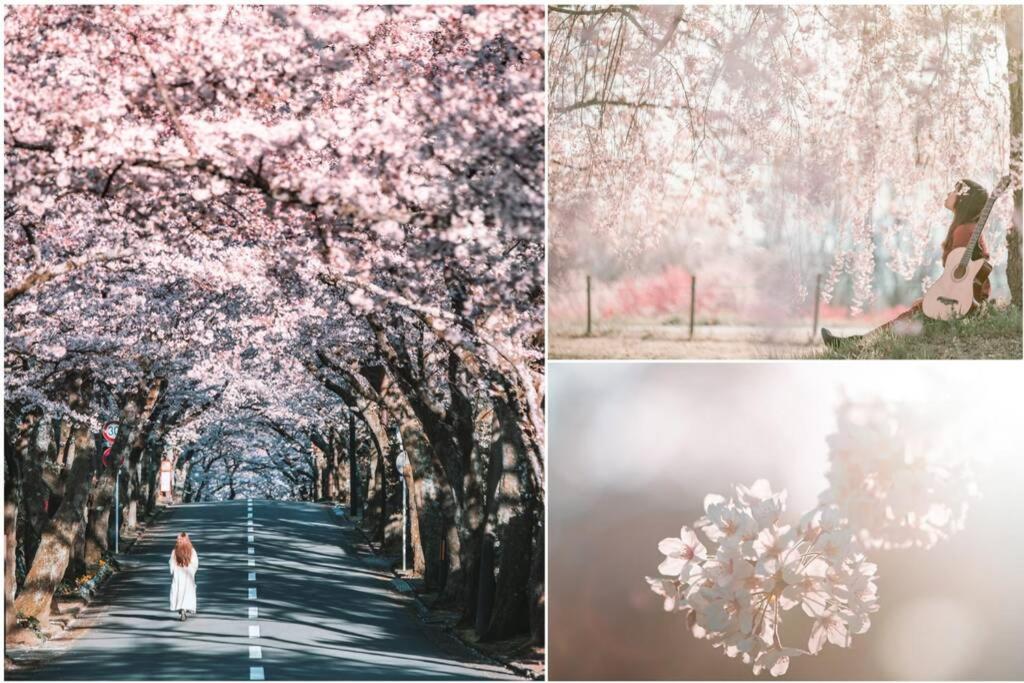 Fotografie z fotogalerie ubytování シャローム伊豆高原 v destinaci Futo