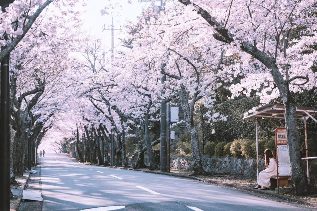 Fotografie z fotogalerie ubytování シャローム伊豆高原 v destinaci Futo