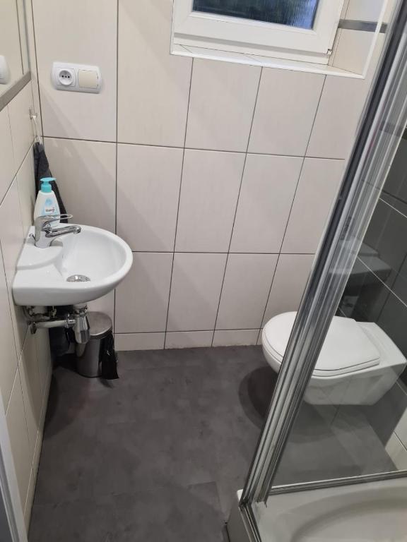 Koupelna v ubytování Dům Mnichov Bazén Klimatizace