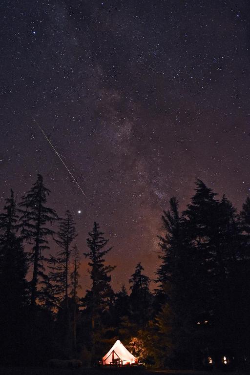 a starry sky with a tent and trees at night at Glamping at Camping La Source in Saint-Pierre-dʼArgençon
