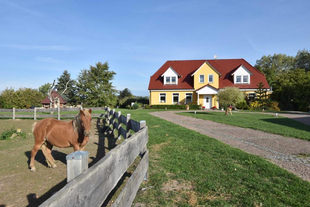 a horse standing next to a fence in front of a house at Ferienhof am Leuchtturm mit Meerbl in Kägsdorf