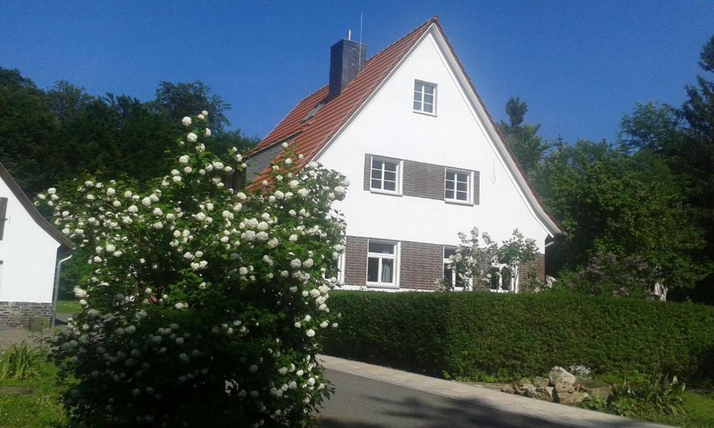 a white house with a flowering tree in front of it at Forsthaus Wegenerskopf in Thale