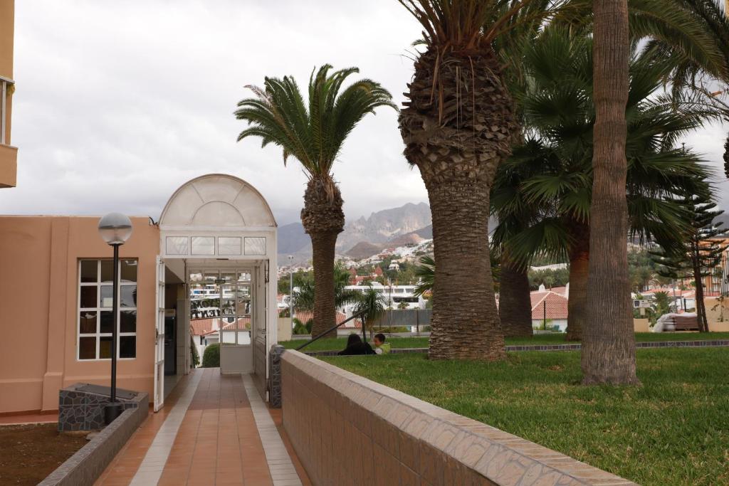 Fotografie z fotogalerie ubytování Apartment in the center of Las Americas with pool v destinaci Playa de las Americas