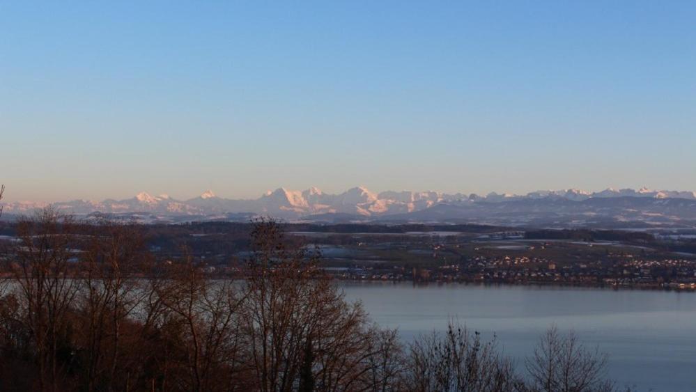 einen Blick auf einen See mit Bergen im Hintergrund in der Unterkunft Le Mont-Vully - Hôtel Restaurant in Haut-Vully