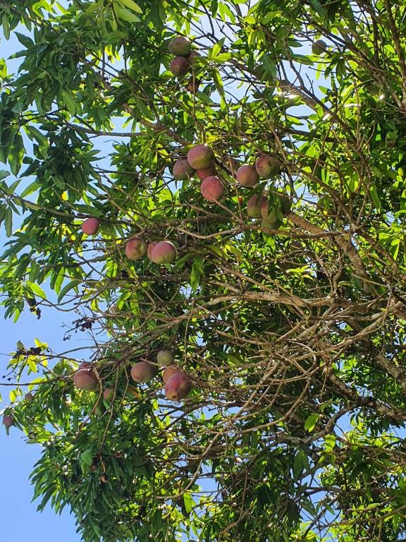  Linda Chácara na Entrada de Águas de São Pedro