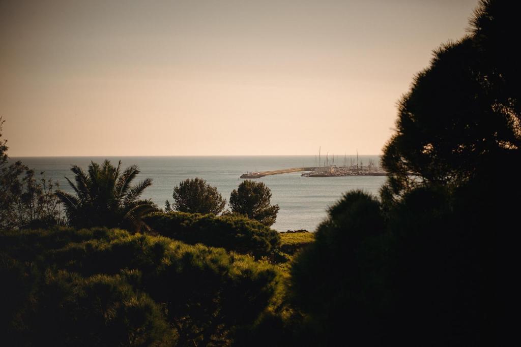 a view of the ocean from a hill with trees at A House in Estoril - Adults Only in Estoril