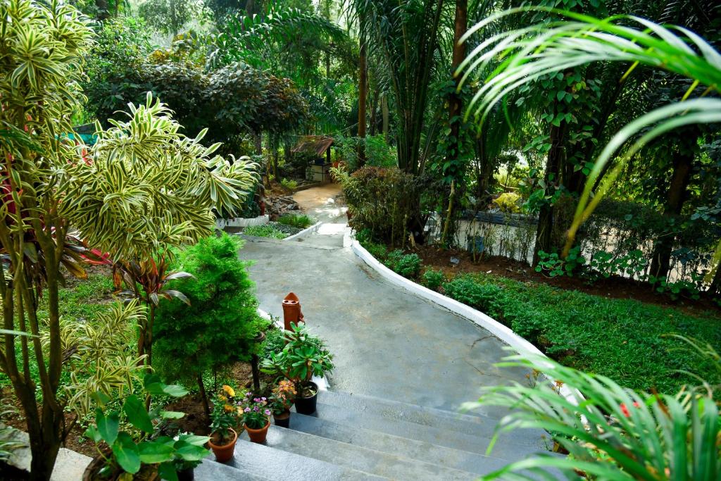 Zahrada ubytování The Spectrum Resort - Chikmagalur