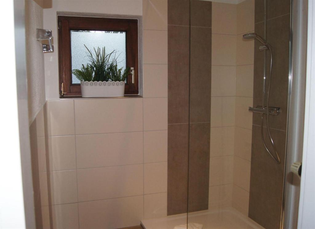 a shower with a glass door in a bathroom at Winterberg Appartement 21056 in Winterberg