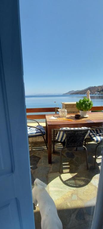 a white dog standing on a patio with a table at Symi . VILLA CALME (Sur la Mer). in Symi