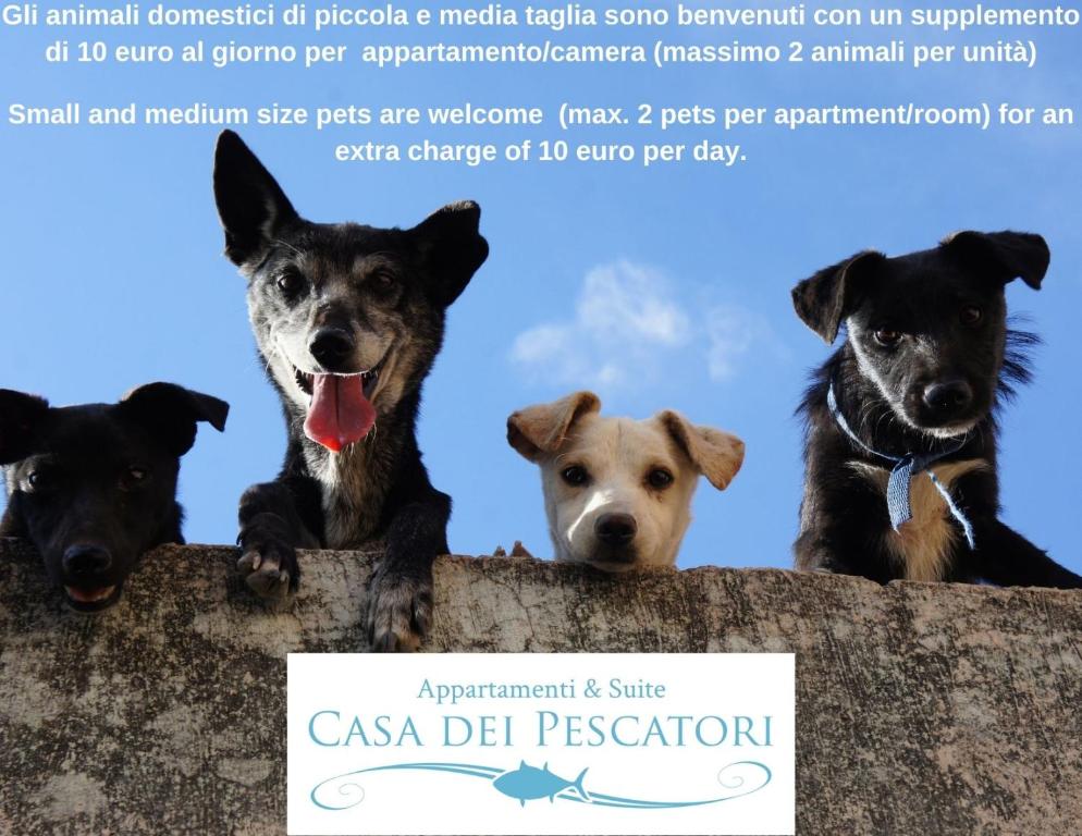 Casa dei Pescatori - 18