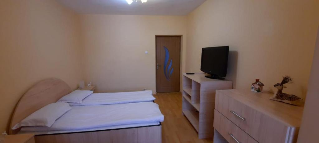 a small bedroom with two beds and a tv at Apartament Happynest in Predeal