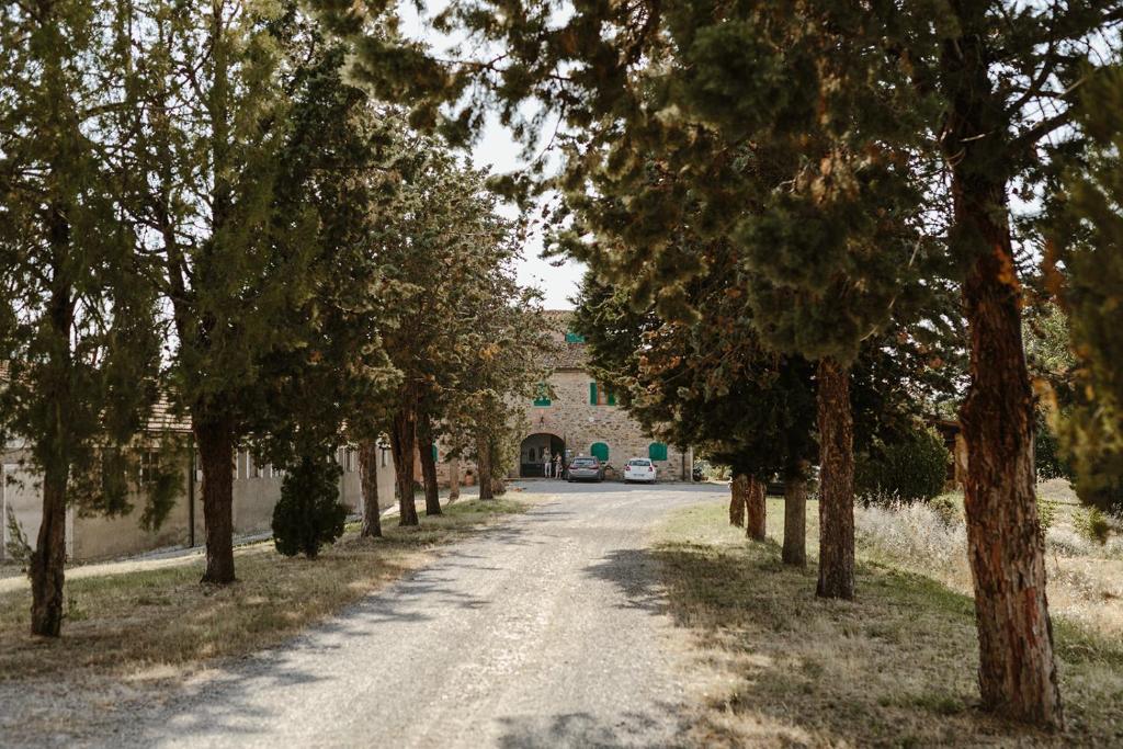 una strada sterrata con alberi di fronte a un edificio di Perelli Winery a Bucine