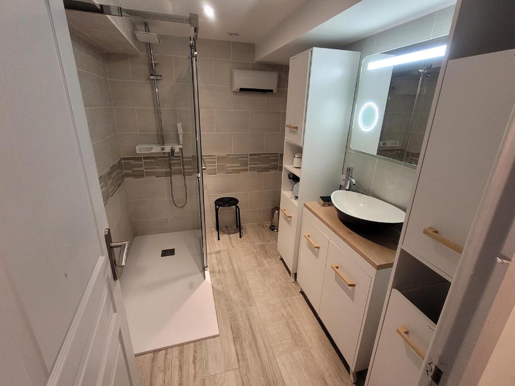 a bathroom with a shower and a sink at Gîte du ruisseau in Nissan-lez-Enserune