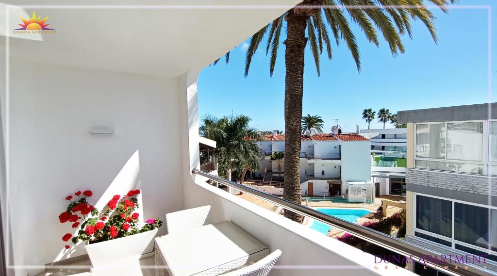 普拉亞戴爾雷安格萊斯的住宿－Dunas Apartment，享有游泳池和棕榈树景致的阳台