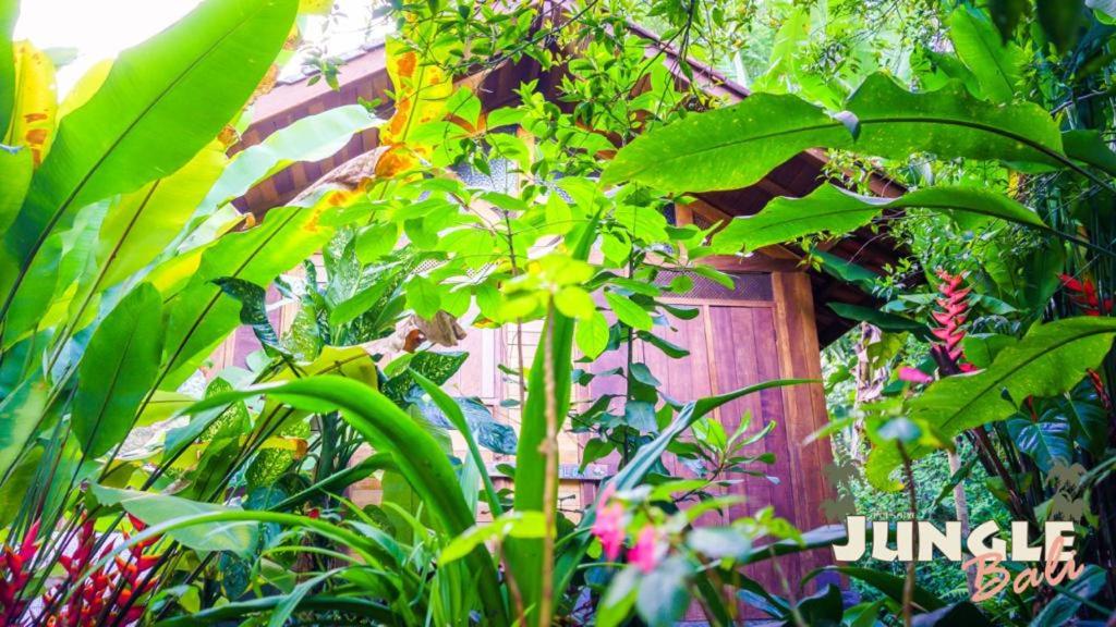  Pousada Jungle Bali