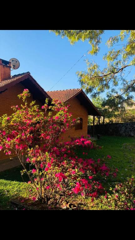  Casa das Glicínias no Centro