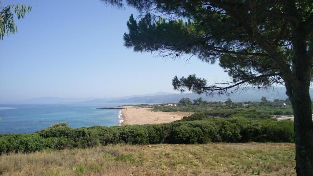 基帕里夏Tzanetos Seaside的从小山到小山,从树上欣赏海滩美景