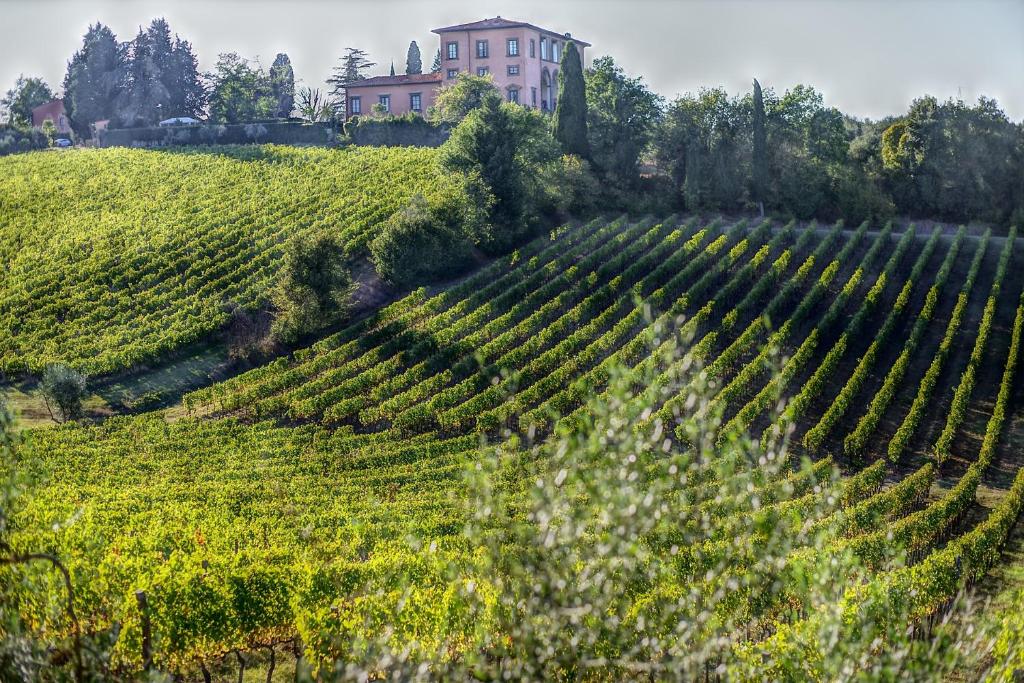 A garden outside Casal Sant'Elena