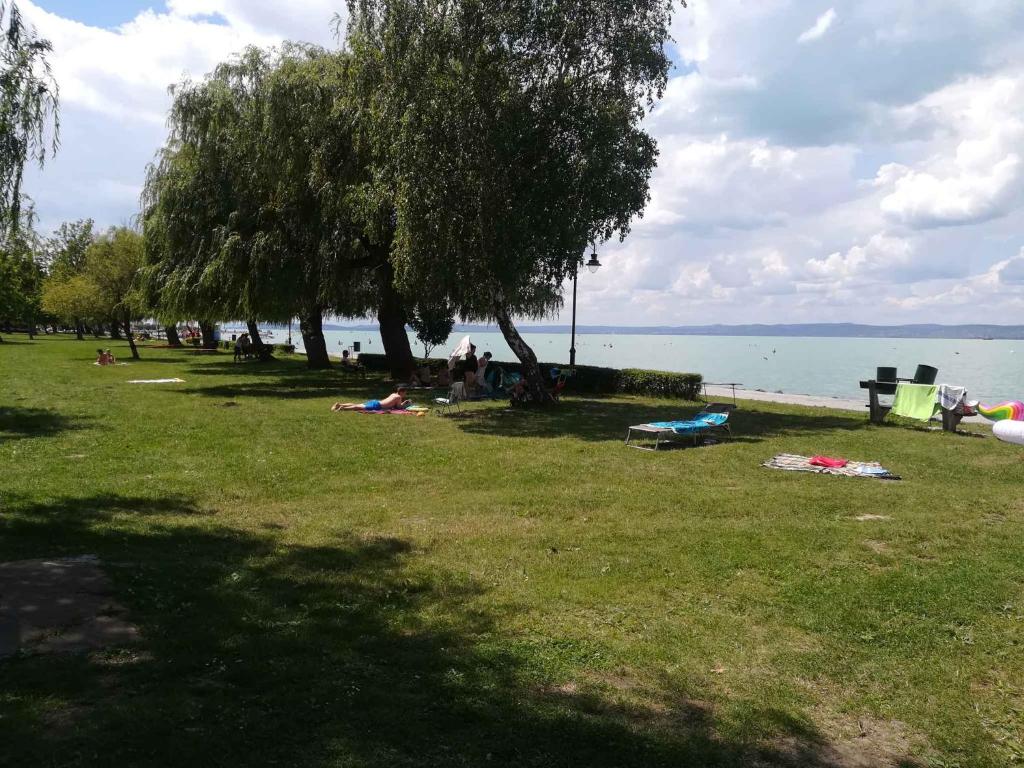 Příroda nedaleko prázdninového domu