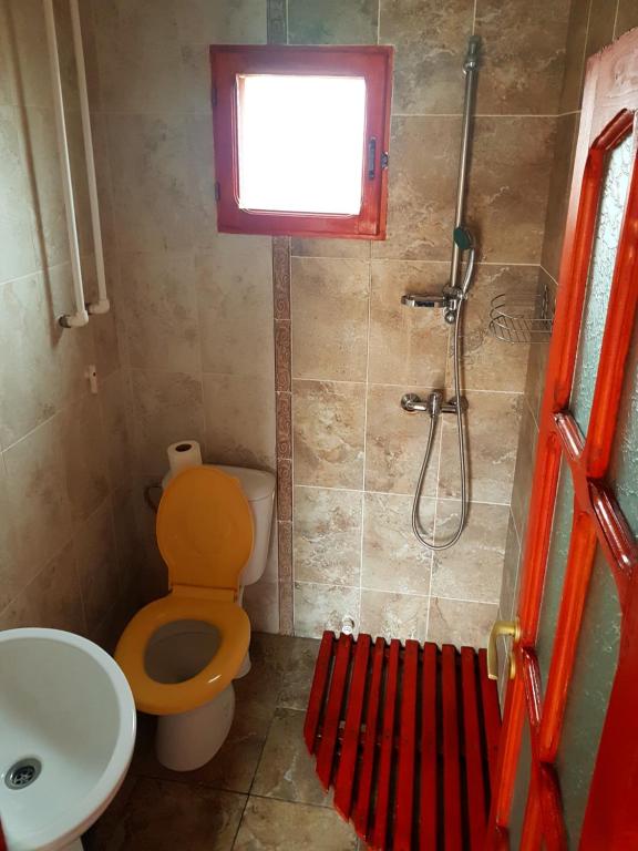 Pensiunea Clisciova - Bungalow With Garden View