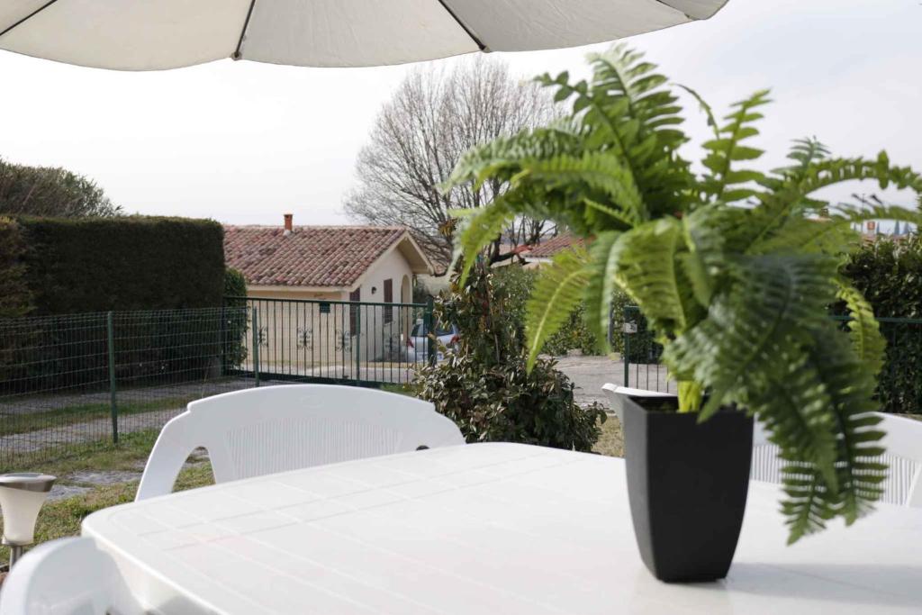 Ogród w obiekcie Apartment in Bardolino - Gardasee 39739
