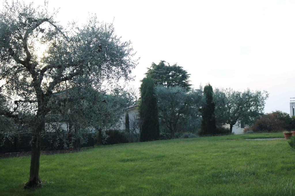 Príroda v okolí apartmánu