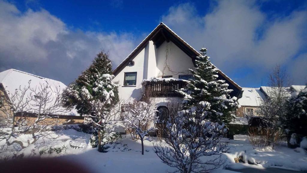 una casa cubierta de nieve con árboles delante en Apartment in Eibenstock 30354, en Eibenstock