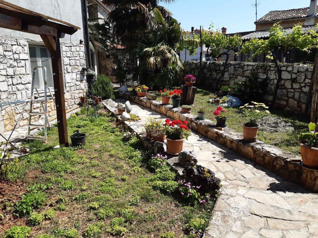 Zahrada ubytování Apartments in Porec/Istrien 37747